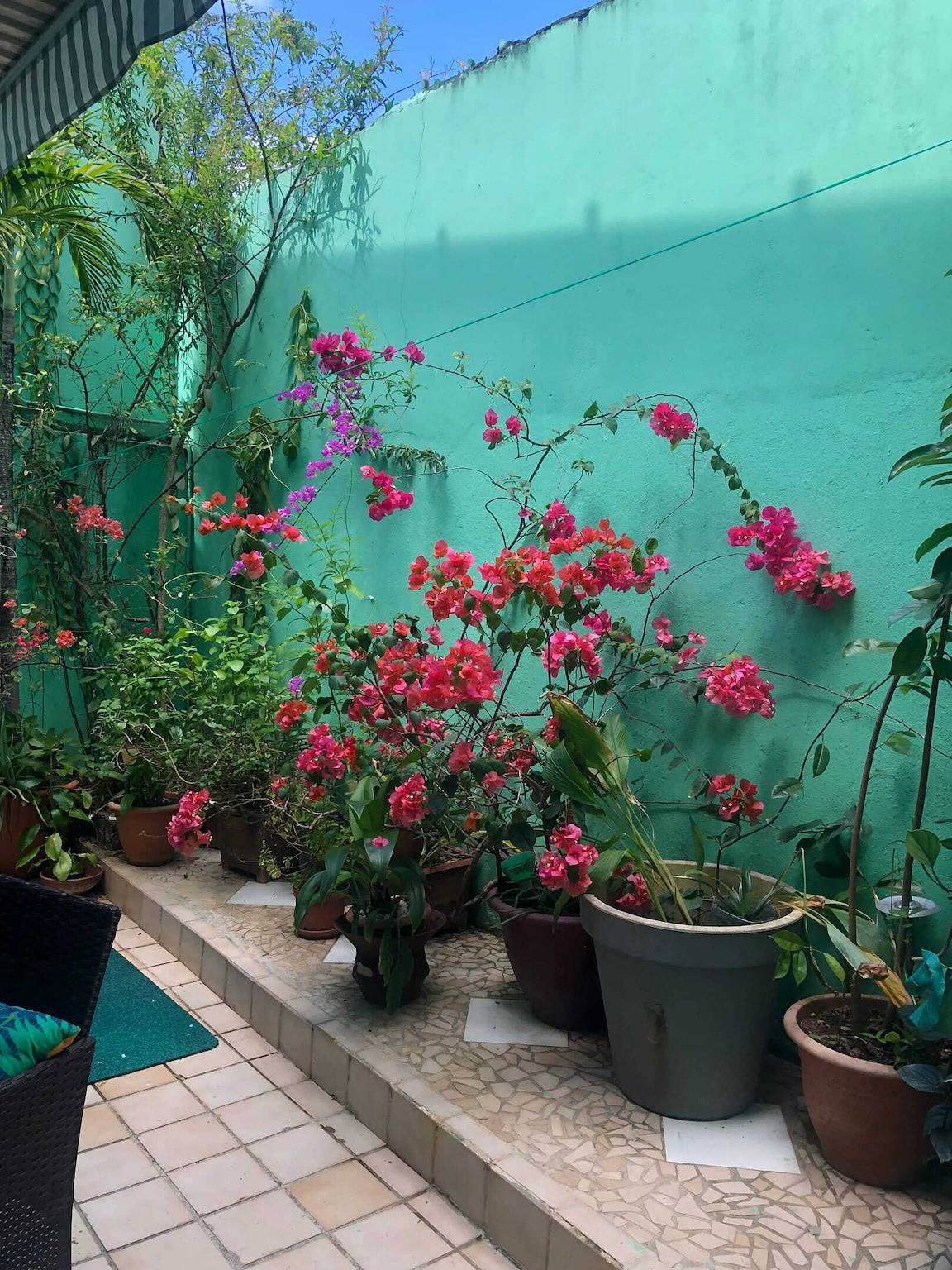 Ganzes Studio, Gemütliches Studio in Fort-de-France, 25 m² mit eigenem Balkon in Martinique