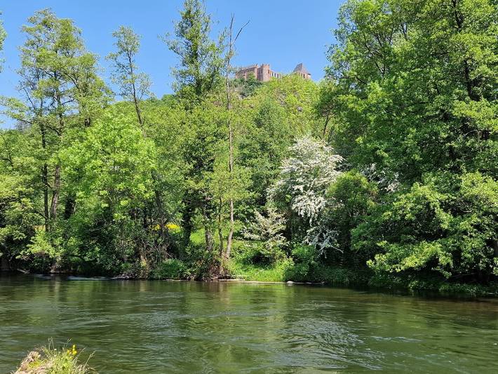 Ferienwohnung für 4 Personen, mit Garten und Sauna in Nideggen - 3