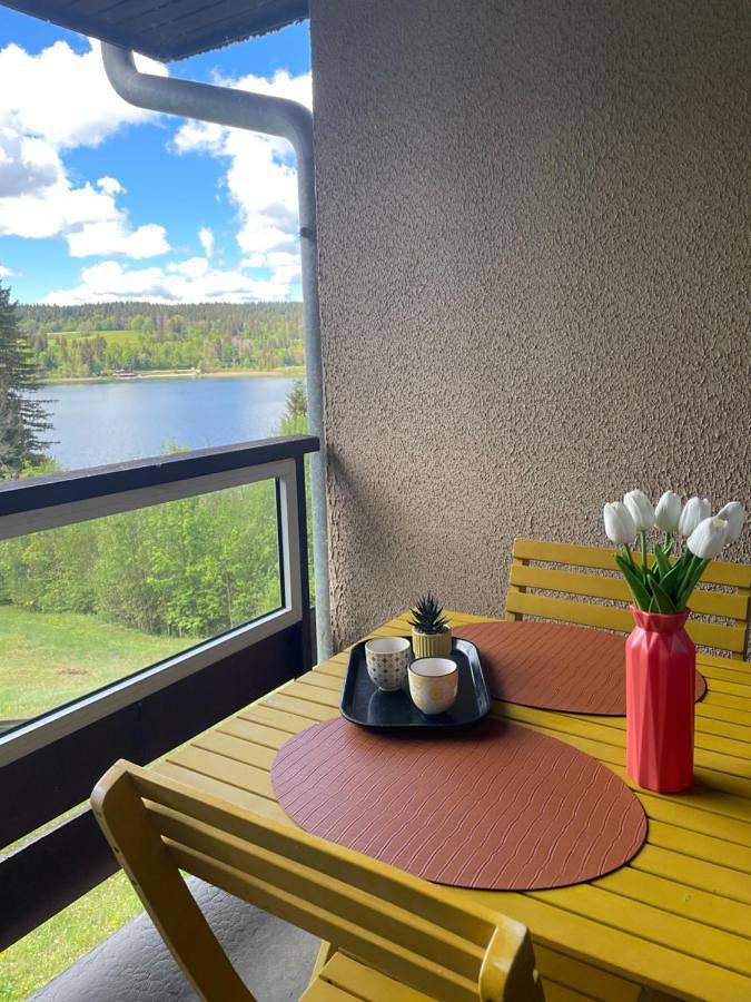 Appartement de vacances pour 5 personnes, avec Balcon et Terrasse ainsi que Jardin et Vue sur le lac