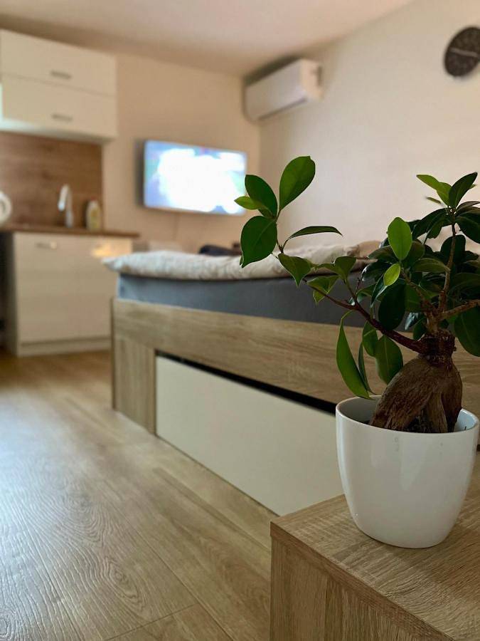 Gîte pour 4 personnes, avec vue et jardin, animaux acceptés à Prievidza - 4