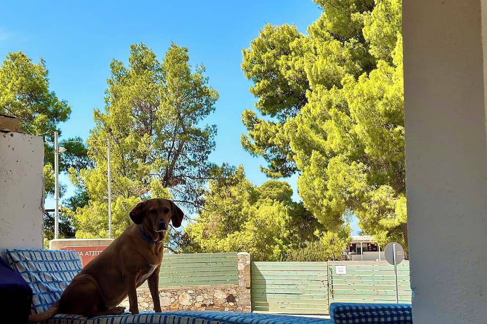 Charming 1-bedroom house with Ac, Wifi in pleasant Atsitsa in Skyros