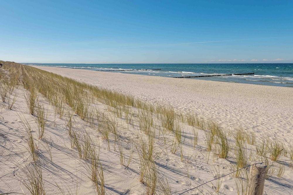 Ferienhaus am Bodden vor Fischland-Darß-Zingst Garten mit Zaun, Hunde willkommen in Pruchten, Vorpommern-Rügen