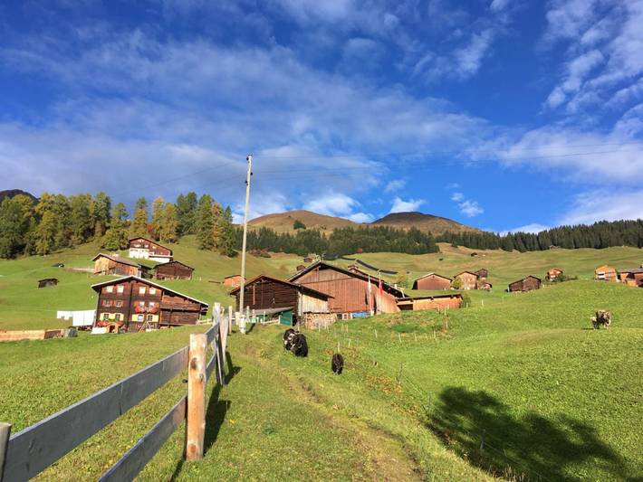 Ganze Ferienwohnung, Ferienwohnung Hof Unterhus, Tenna - 3 Zimmer Ferienwohnung für max. 4 Pers. in Safiental, Graubünden