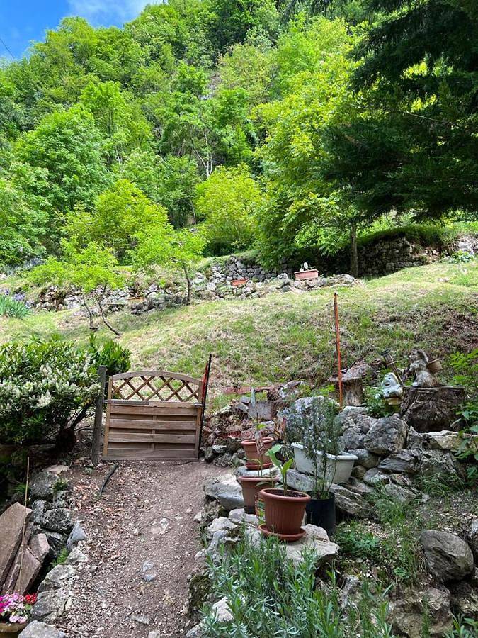 Single Room with Garden View in Parrocchia, Vallarsa