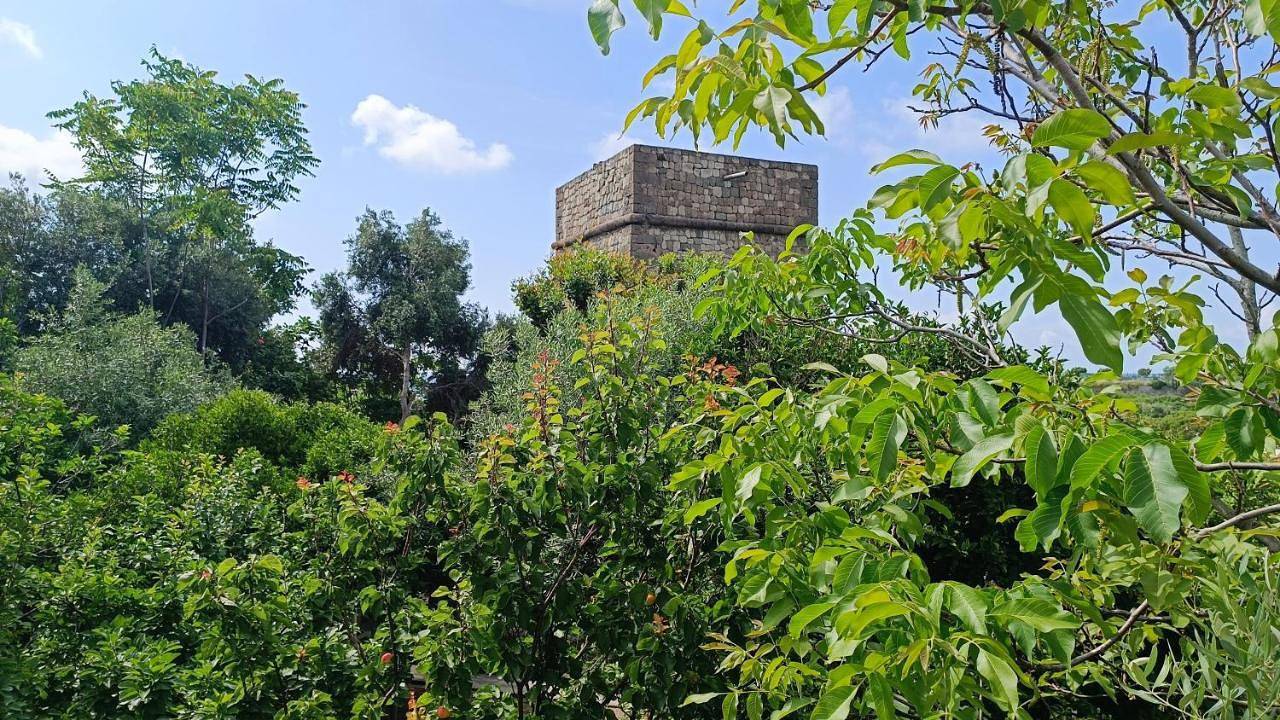 Passariello in Forio, Ischia