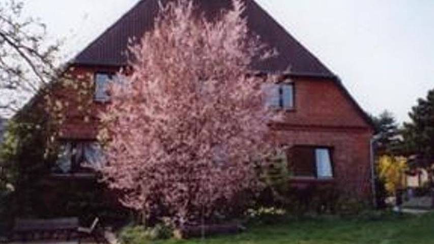 Ferienwohnung für 4 Personen, mit Terrasse, mit Haustier in Naturpark Lauenburgische Seen