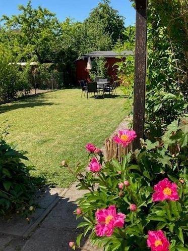 Gîte pour 3 personnes, avec vue et jardin à Oestrich-Winkel - 2