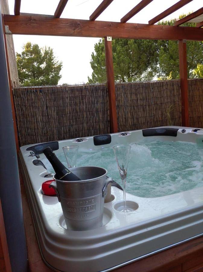 Gîte pour 4 personnes, avec terrasse et jacuzzi à Espondeilhan - 3