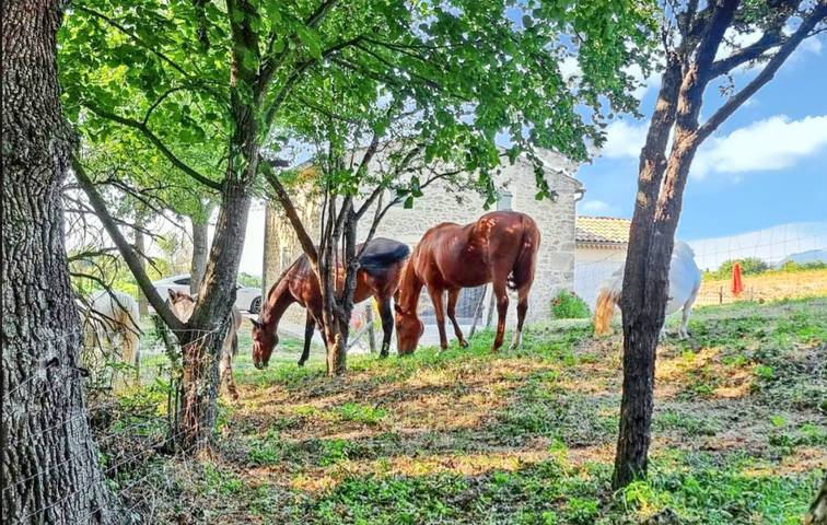 Location de vacances pour 6 personnes, avec terrasse ainsi que jardin et piscine à Divajeu - 3