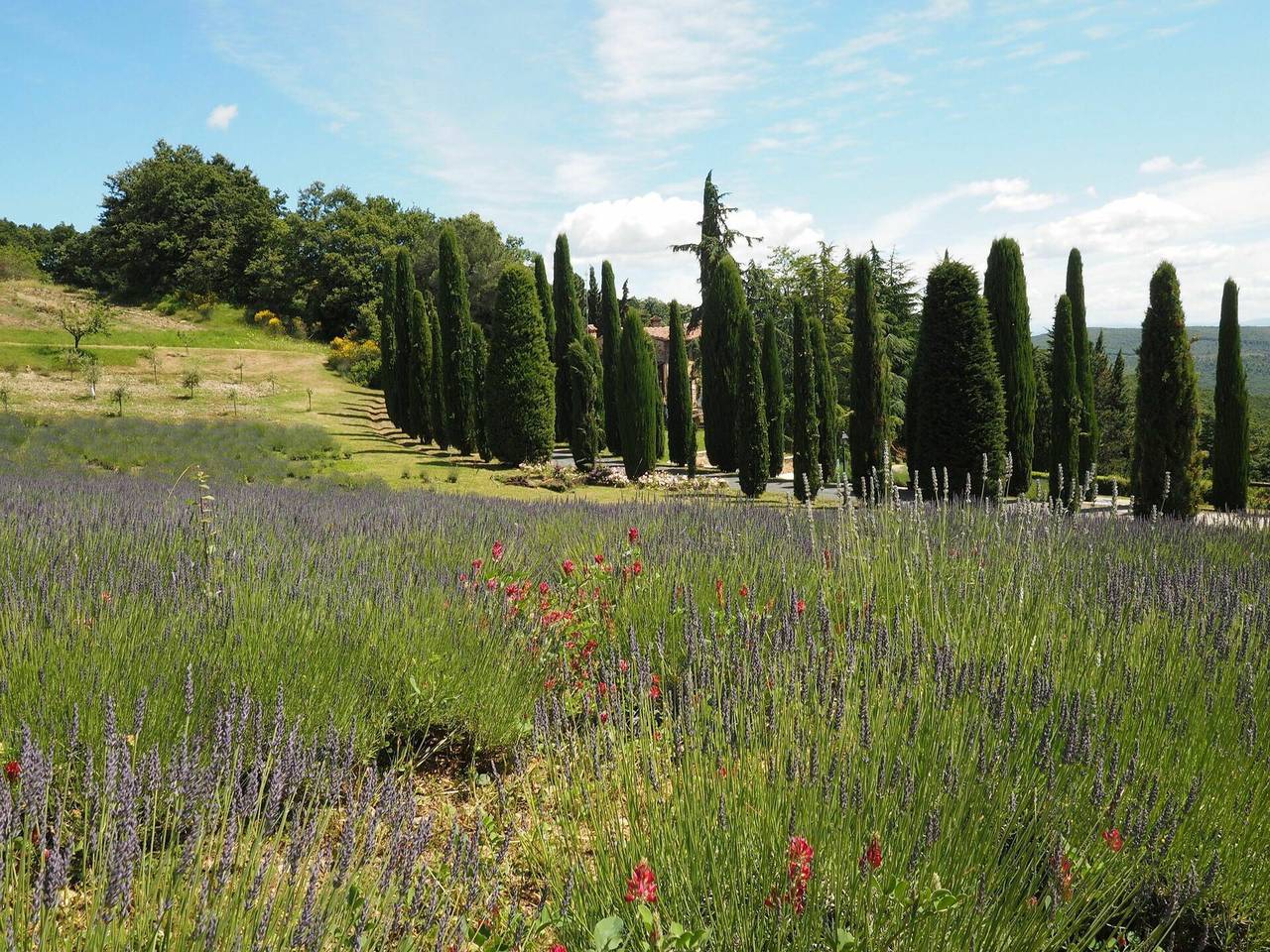 Ganze Ferienwohnung, Ferienwohnung für 6 Personen in San Gimignano, Siena Provinz