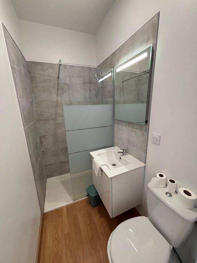 Appartement entier, Appartement 10 personnes avec terrasse à Vallères in Vallères, Vallée de la Loire