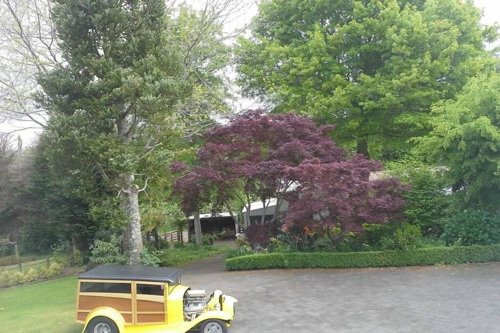 Geschmackvolles geräumiges privates Gartenquesthaus in Western Bay of Plenty District