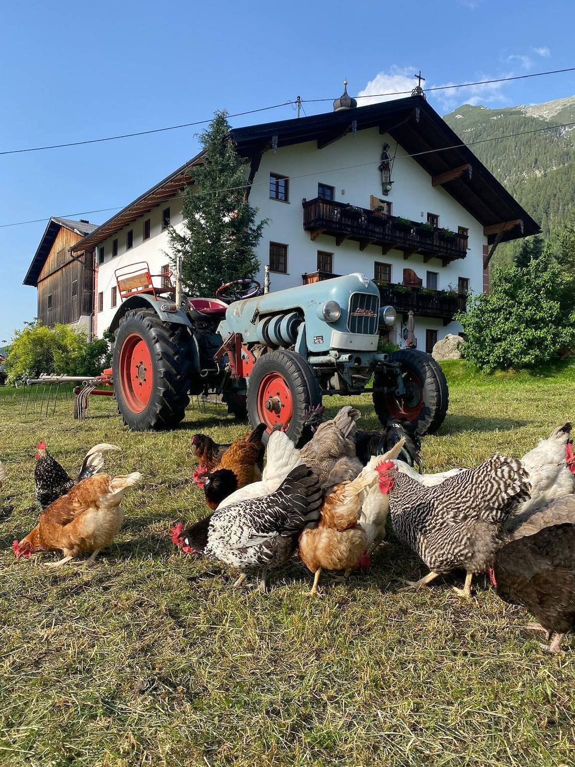 Ganze Ferienwohnung, Pulvererhof Top 2 in Achenkirch, Tiroler Unterland