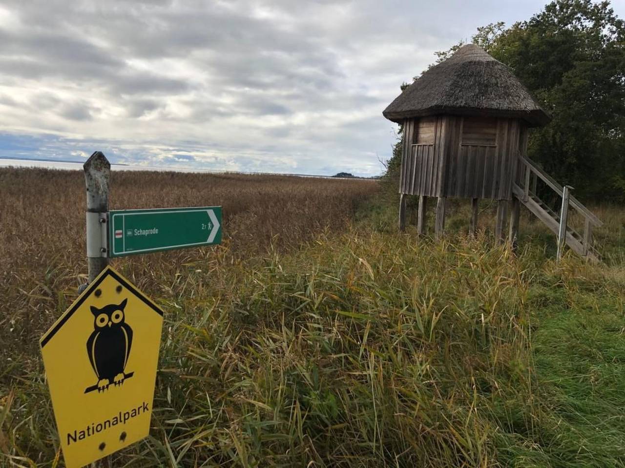 Ganze Wohnung, Traumhafte Ferienwohnung im Reetferienhaus in Schaprode, Rügen