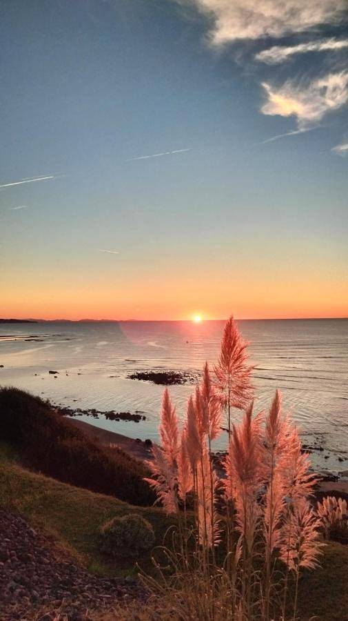 Appartement de vacances pour 4 personnes, avec terrasse et vue, animaux acceptés à Bidart