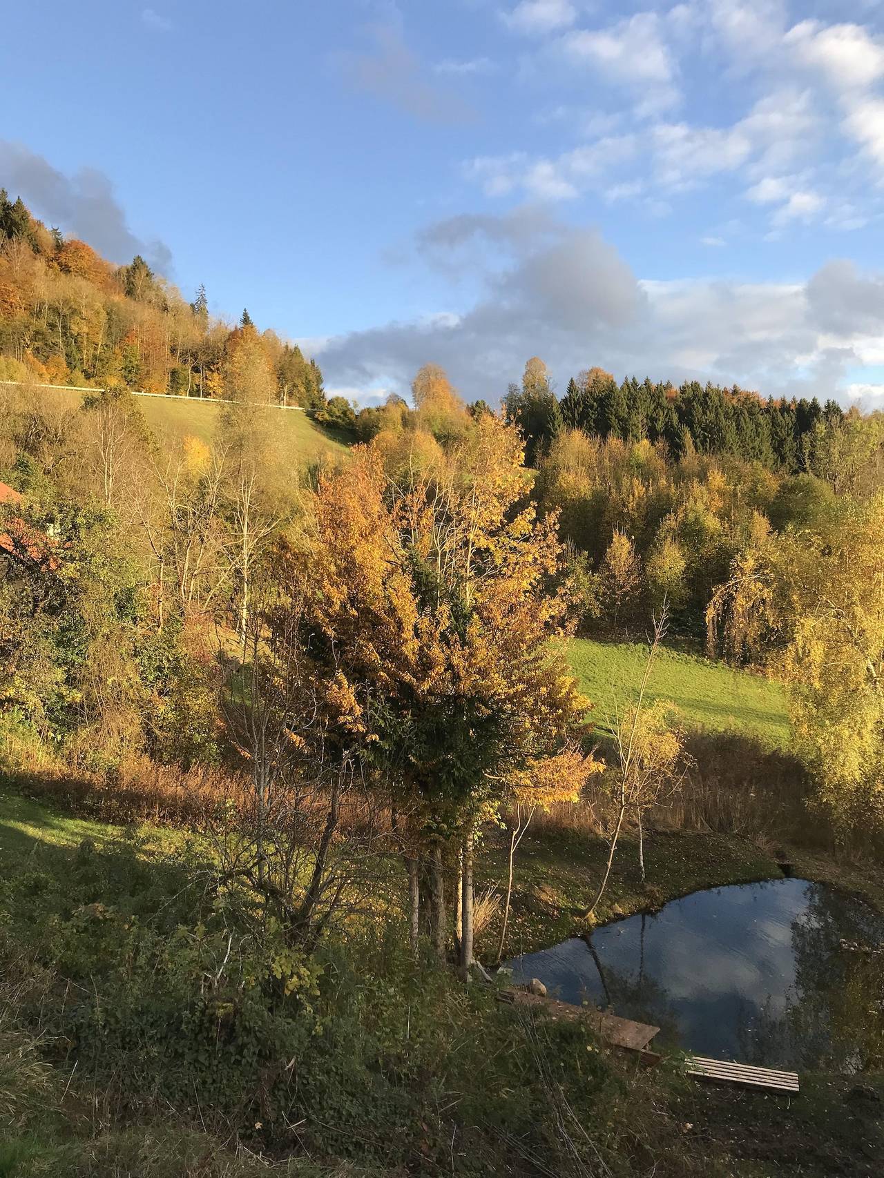 Ganze Ferienwohnung, Alpchalet Staufner Quelle in Oberstaufen, Bayerisch Schwaben
