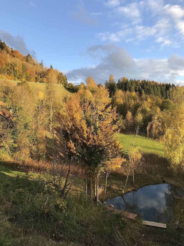 Hütte für 4 Personen, mit Terrasse, mit Haustier in Oberstaufen - 3