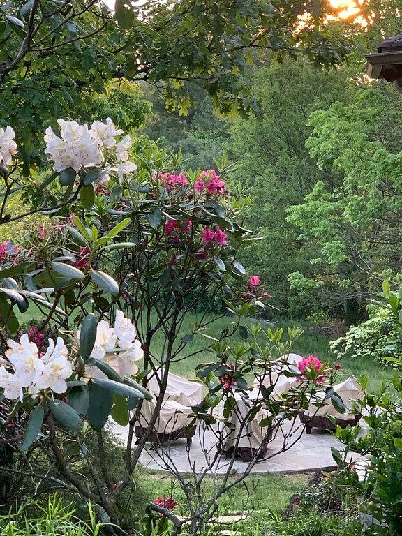 Blowing Rock Bungalow in Blue Ridge Parkway, Blowing Rock