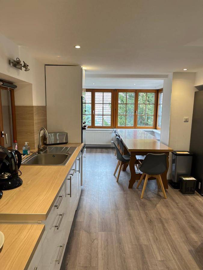 Gîte pour 12 personnes, avec terrasse et vue, animaux acceptés dans Diebolsheim - 2