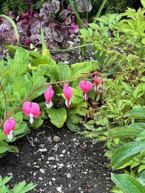 Ferienwohnung für 4 Personen, kinderfreundlich in Sankt Ulrich am Pillersee - 3