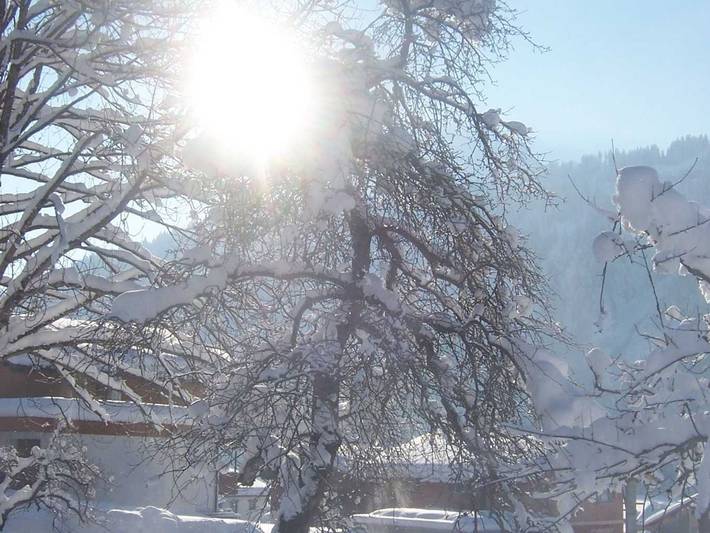 Ferienwohnung für 6 Personen, mit Balkon, kinderfreundlich in Schoppernau - 4
