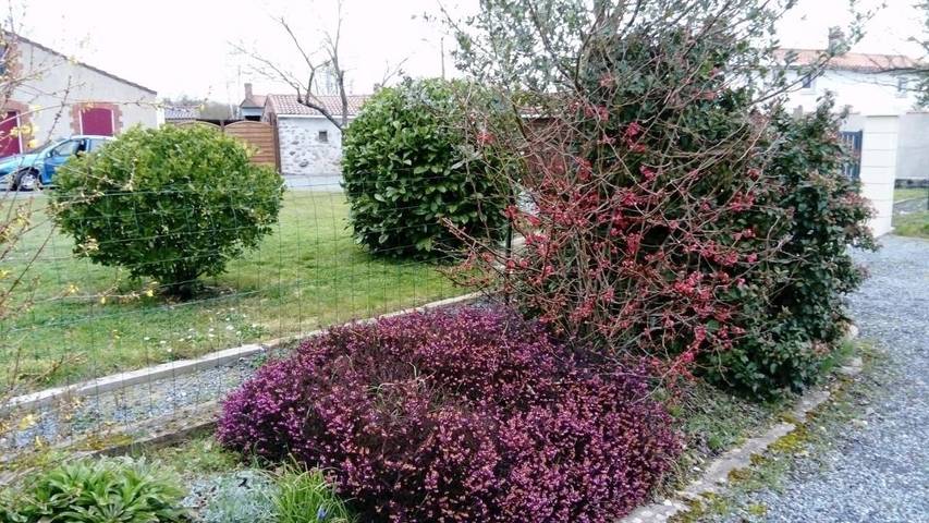 Location de vacances pour 4 personnes, avec jardin et vue dans Montaigu-Vendée - 4