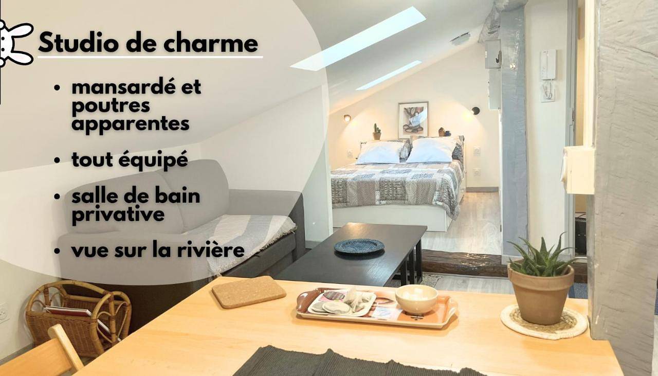 Appartement entier, Le Terrier in Mussidan, Périgord Blanc