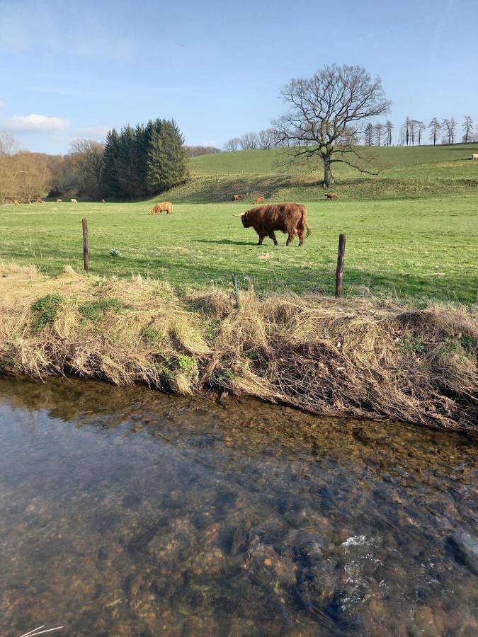 Gîte pour 6 personnes, avec vue et terrasse, animaux acceptés à La Calamine - 3
