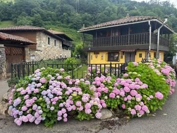 Casa rural para 5 personas, con jardín y vistas, Se admiten mascotas en Belmonte de Miranda