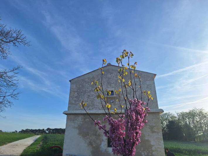 Location de vacances pour 2 personnes, avec vue ainsi que jardin et terrasse, animaux acceptés à Saint-Bonnet-sur-Gironde