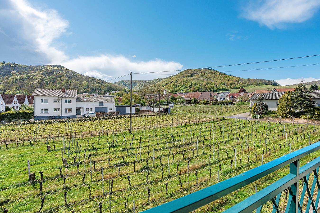 Apartamento entero, Apartamento 'Ferienwohnung Weingut Löwenthal' con vistas a la montaña, balcón y Wi-Fi in Südliche Weinstraße