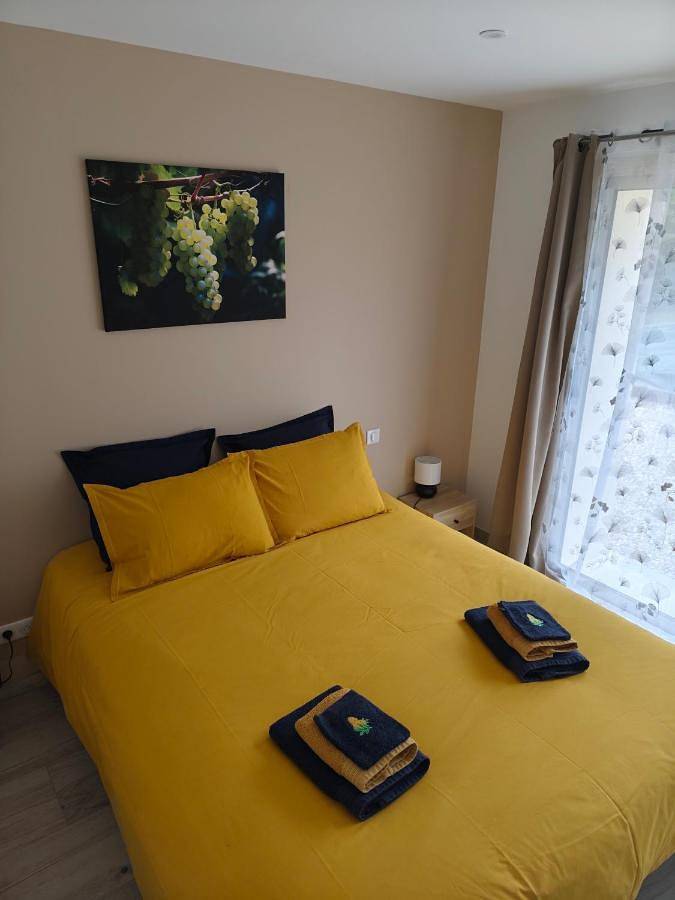 Location de vacances pour 8 personnes, avec jardin et piscine à Chablis - 4