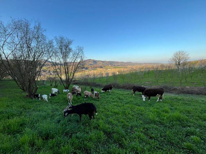 Location de vacances pour 2 personnes, avec vue ainsi que jardin et terrasse à Monastero Bormida - 2