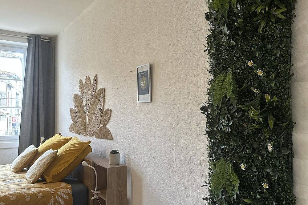 Ganze Wohnung, Apartment-Apartment-Ensuite mit Bad-Strassenblick in Auch, Gers