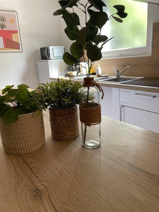 Location de vacances pour 4 personnes, avec terrasse à Tatinghem - 3