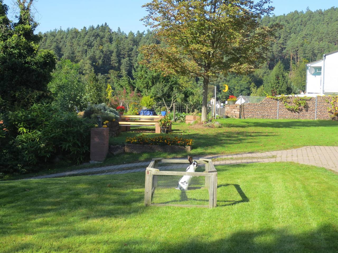 Ganze Ferienwohnung, Appartement/Fewo 3 "Eyberg" in Bruchweiler-Bärenbach, Landkreis Südwestpfalz