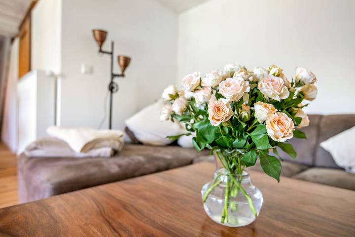 Entire apartment, Apartment Klein Bullerbü in Schülp an der Nord Sea with Shared Terrace, Garden and Wi-Fi in Schülp, Eider-Treene-Sorge