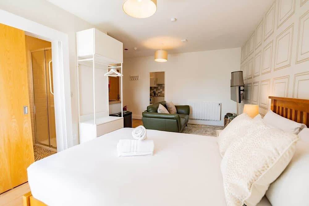 Entire apartment, Eyre View Suites - Studio #2 - Sleeps 2 in Eyre Square, Galway