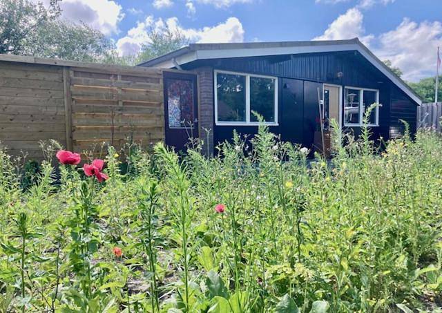Bungalow voor 4 personen, met uitzicht en tuin in Lauwersoog
