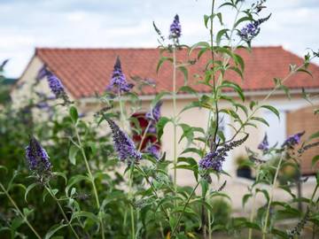 Cottage pour 4 personnes, avec jardin à Fossemagne