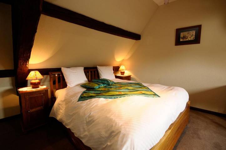 Hôtel pour 2 personnes, avec sauna et jacuzzi ainsi que terrasse et piscine, animaux acceptés à Bergheim - 3