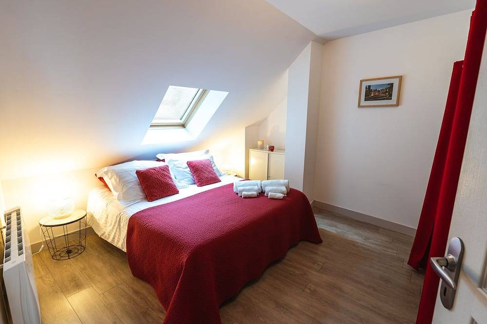 Entire apartment, Le Pont Royal, Spectacular Views of Loire & Bridge from huge, private terrace ! in Amboise, Tours region