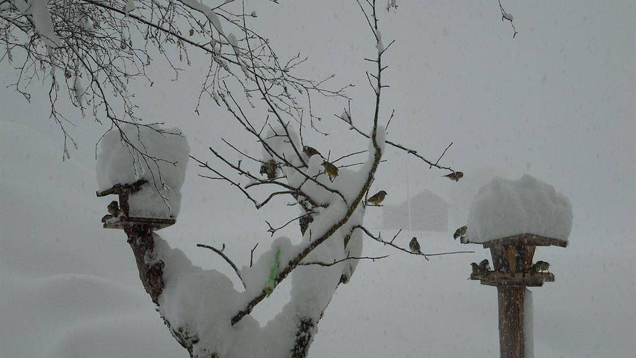 Appartement de vacances entier, Ferienwohnung für 2 Personen (48 m²) in Holzgau in Holzgau, Alpes d'Allgäu (Autriche)