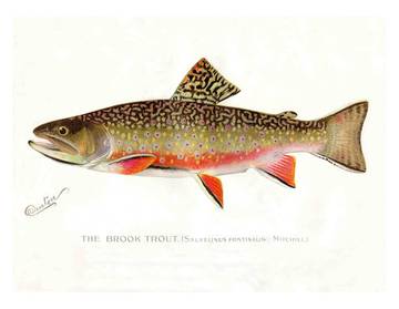 Lodge for 25 Guests in Lake Michigan, Michigan, Picture 2