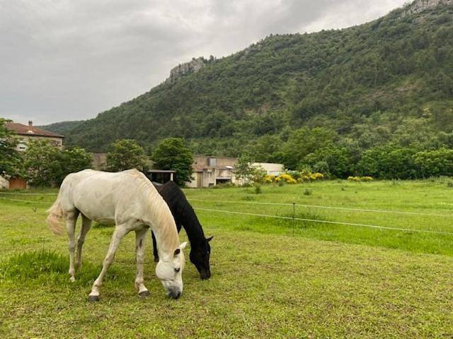 Gîte pour 2 personnes, avec jardin ainsi que terrasse et vue dans Saint-Julien-en-Saint-Alban - 4