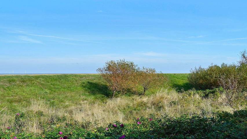 Ferienhaus mit Meerblick für 7 Personen, mit Terrasse, mit Haustier auf Fanø - 4
