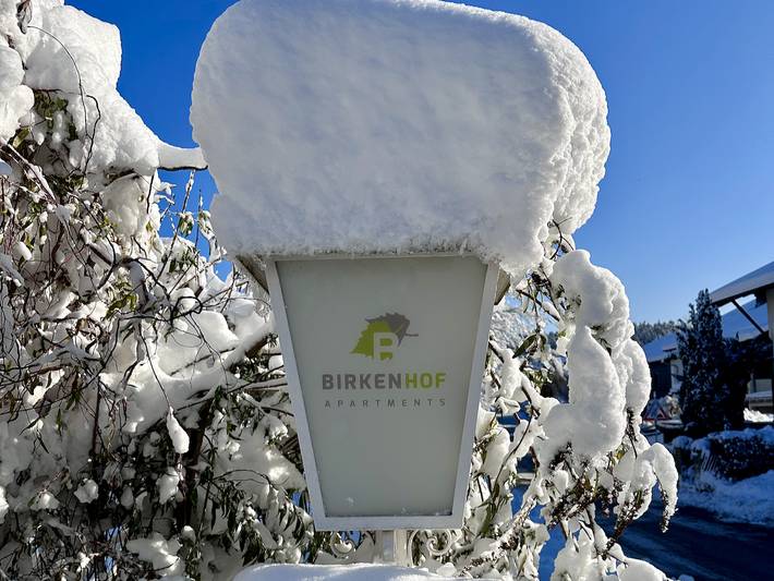 Ganze Ferienwohnung, Ferienwohnungen Birkenhof Apartments - Ferienwohnung 4, 22 qm 1. Etage, kombinierter Wohn- und Schlafbereich in Bad Endorf, Chiemsee