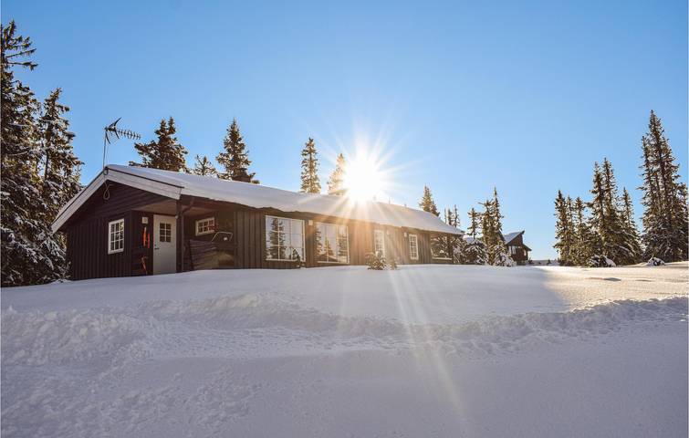Location de vacances pour 9 personnes, avec jardin dans Sjusjoen