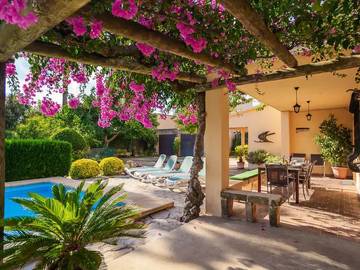 Finca in Alcúdia, Mallorca Norden für 8 