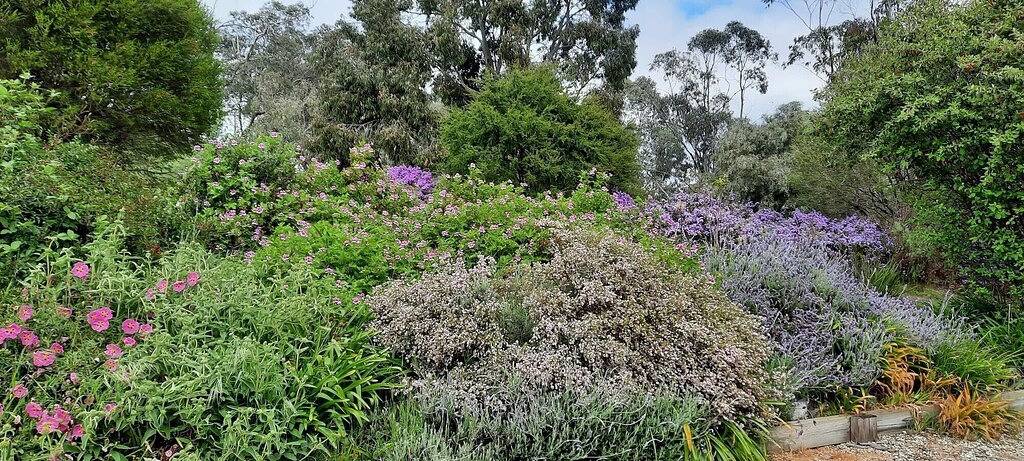 Mansfield Colonial Cabin with Stunning Views in Mansfield (Victoria), Shire of Mansfield
